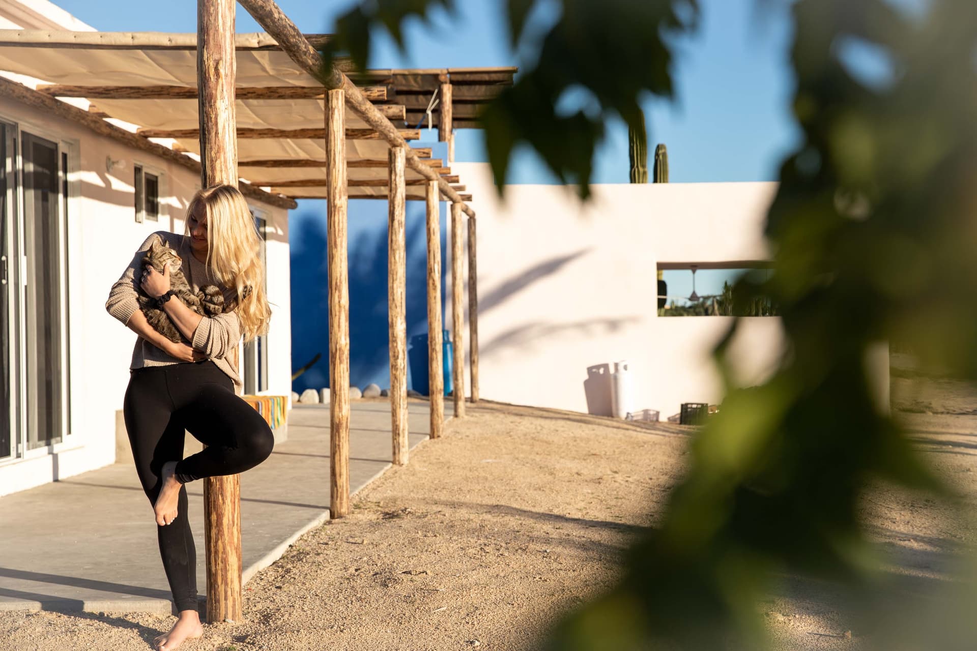 Sunset yoga on the terrace at La Ventana Hostel with panoramic Sea of Cortez views