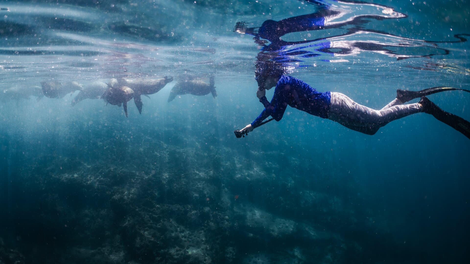 A snorkeler swimming below the surface in clear blue water