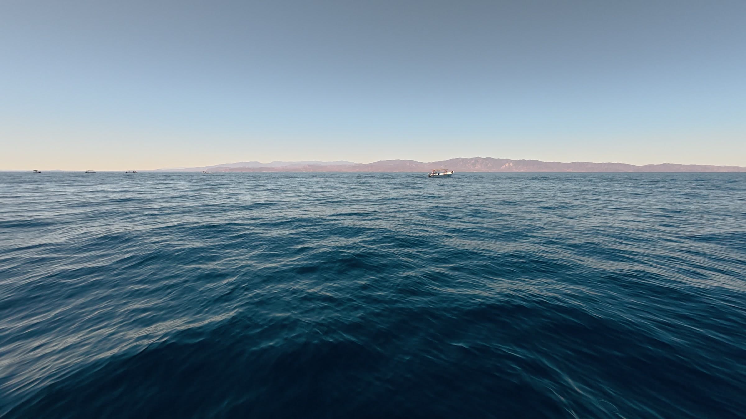 Open Sea of Cortez horizon near La Ventana where Bajablue searches for marine wildlife