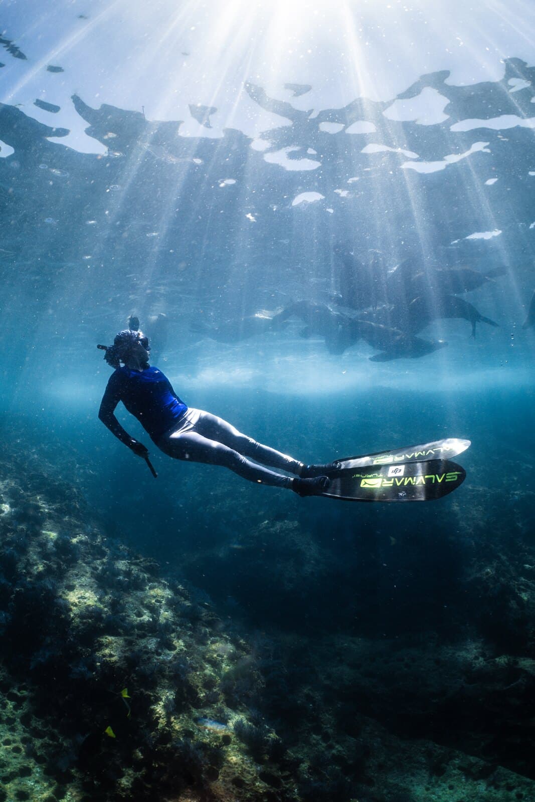 A freediver swimming over a rocky reef beneath the sunlit surface