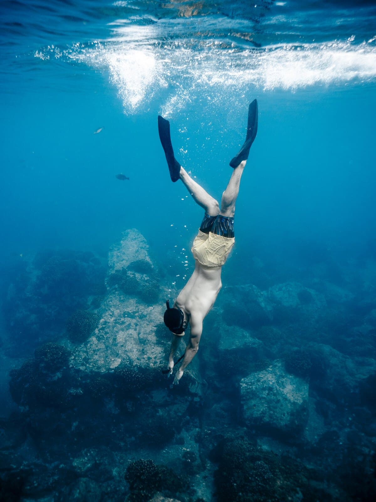 A freediver duck-diving headfirst toward a rocky reef