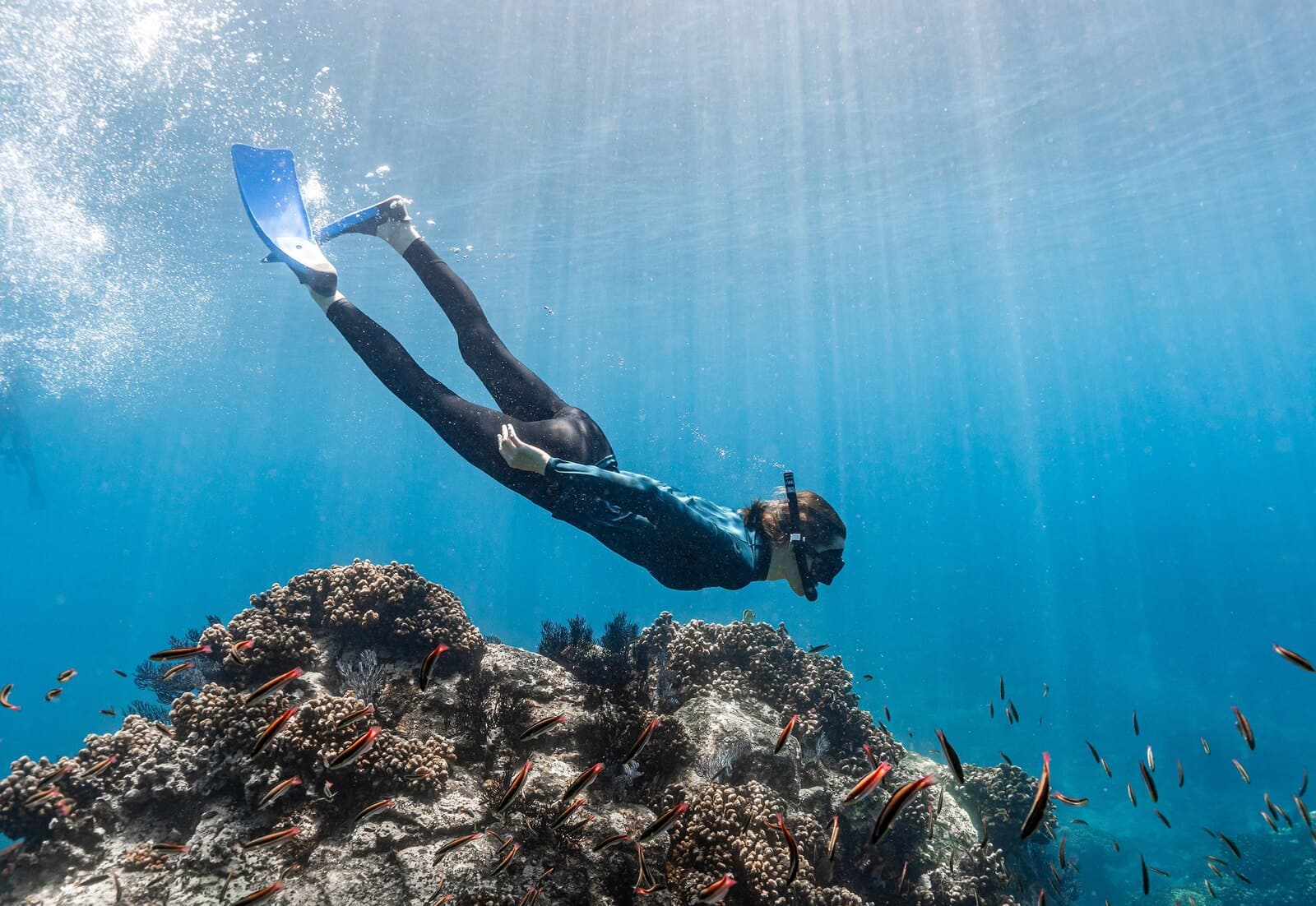 A freediver swimming over a coral reef among small orange fish