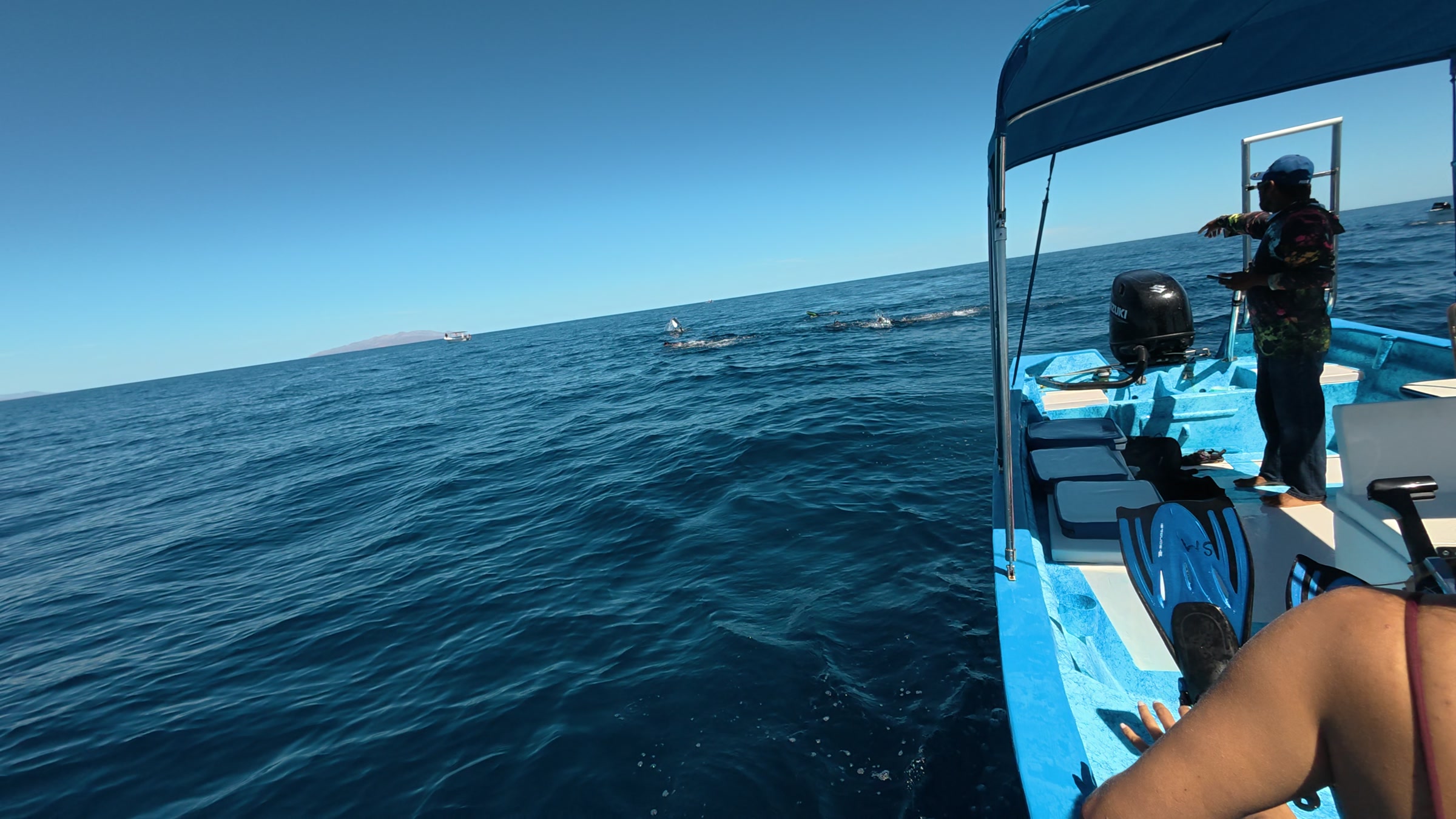 Crew view from the Bajablue boat with orcas surfacing nearby